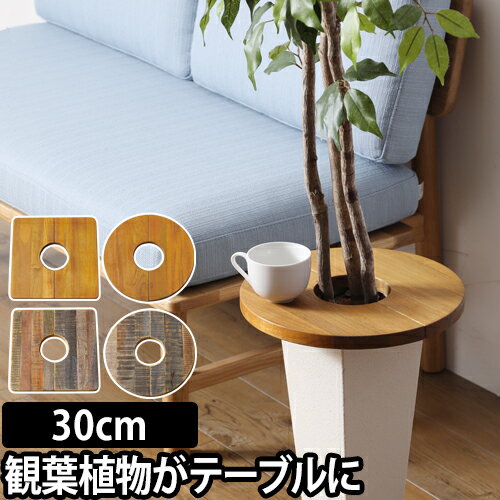 楽天市場 ミニテーブル プランツテーブル Plt Plants Table 30cm プランター 植木鉢 鉢植え 観葉植物 インテリア コーヒーテーブル 天然木 ウッド セレクトショップ Aqua アクア