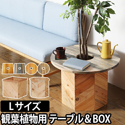 ミニテーブル＆プランターカバー プランツテーブル ＆ ボックス Lセット 60cm PLT Plants Table & Box プランター 植木鉢 鉢植え 観葉植物 インテリア コーヒーテーブル 天然木 ウッド HangOut ハングアウト