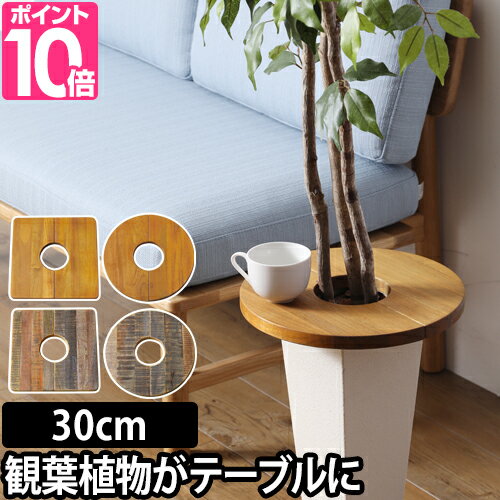 ミニテーブル プランツテーブル PLT Plants Table 30cm プランター 植木鉢 鉢植え 観葉植物 インテリア コーヒーテーブル 天然木 ウッド