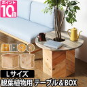 ミニテーブル＆プランターカバー プランツテーブル ＆ ボックス Lセット 60cm PLT Plants Table & Box プランター 植木鉢 鉢植え 観葉植物 インテリア コーヒーテーブル 天然木 ウッド HangOut ハングアウト