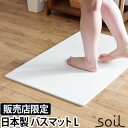 soil 　珪藻土　 ソイル ジェム バスマット 吸水 バスマット Lサイズ アスベスト不使用 珪藻土バスマット 珪藻土マット マット 足拭きマット 足ふきマット お風呂マット 吸水マット 珪藻土 ひる石 速乾 大きい 大判 吸収 乾燥 国産 日本製 バスグッズ soil GEM