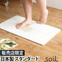 soil 　珪藻土　 ソイル ジェム バスマット 吸水 スタンダード アスベスト不使用 珪藻土バスマット 珪藻土マット マット 足ふきマット 足拭きマット 足拭き お風呂マット珪藻土 速乾 吸収 大きめ 大判 日本製 両面 風呂場 お風呂 バスグッズ 安全 丈夫 soil GEM