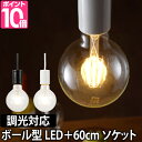 LED電球 LEDライト スワンバルブディマー ボール 60cm電気ソケットセット 調光対応 SWAN BULB DIMMER Ball 照明 省エネ 長寿命 白熱電球風 電球色 SWB-G250L