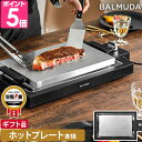 バルミューダ ザ プレートプロ K10A-BK ホットプレート 大型 焼肉 油落ち 洗いやすい 平面焼肉 家族 長い電源コード もんじゃ焼き ヘラ 2～3人用 着脱式 餃子 おしゃれ 温度調節 鉄板焼き 一人暮らし BALMUDA The Plate Pro