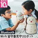 ロボット 見守り ロボット 留守番 コミュニケーション BOCCO emo ボッコ エモ IoT ユカイ工学 高齢者 ペット