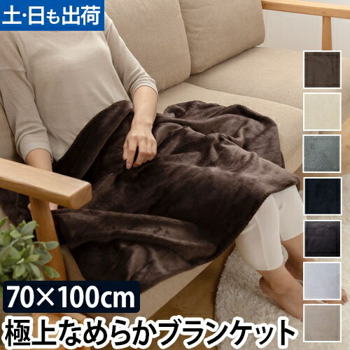 ひざ掛け プレミアムマイクロファイバー ブランケット 70×100cm モフア mofua 洗える 丸洗い あったか 暖か 毛布 寝具 ナイスデイ おしゃれ 無地