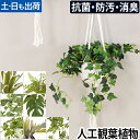 人工観葉植物 エクリア 消臭アーティフィシャルグリーン おしゃれ 消臭 防汚 抗菌 ハンギング リアル 造花 トイレ 玄関 インテリア リビング ダイニング キッチン CT触媒加工 壁掛け 置き ナチュラル 緑 ECLIA