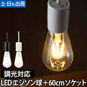 LED電球 LEDライト スワンバルブディマー エジソン 60cm電気ソケットセット 調光対応 SWAN BULB DIMMER Edison 照明 省エネ 長寿命 白熱電球風 電球色 SWB-E052L