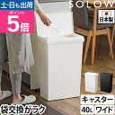 ソロウ ゴミ箱 ふた付き 袋の交換が楽なダストボックスワイド40L 蓋付きゴミ箱 くず入れ 45リットル袋 日本製 おしゃれ 分別 北欧 大容量 キャスター付き インテリア キッチン 45l袋 抗菌 シンプル 横長 横開き 横型 リビング スリム SOLOW