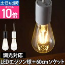LED電球 LEDライト スワンバルブディマー エジソン 60cm電気ソケットセット 調光対応 SWAN BULB DIMMER Edison 照明 省エネ 長寿命 白熱電球風 電球色 SWB-E052L