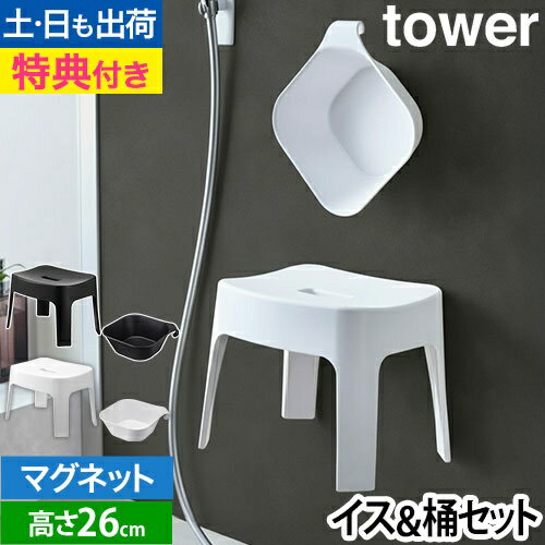 バスチェア 湯おけ SET【選べる豪華