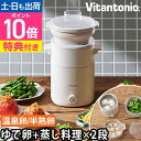 ビタントニオ 【選べる豪華特典】 フードスチーマー プラス VFS-20-I 蒸し器 スチームクッカー 卓上 コンパクト 電気式 電気 せいろ 小型 小さめ 小...