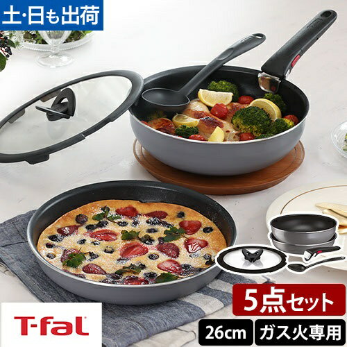 インジニオ・ネオ　フレーズグレーSET５