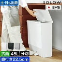 SOLOW ソロウ ゴミ箱 ごみ箱 ペダルオープンワイド 45L 45リットル ふた付き 蓋 蓋付き 蓋つき フタつき 分別 おしゃれ シンプル キッチン ペダル 横型 横長 ワイド スリム 抗菌 ゴミ袋 45 30 54 22 47 黒 白 ブラック ホワイト グレー 9_GSLW