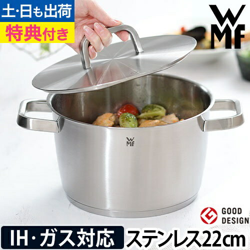 アイコニック ハイキャセロール 22cm