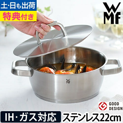 アイコニック ローキャセロール 22cm