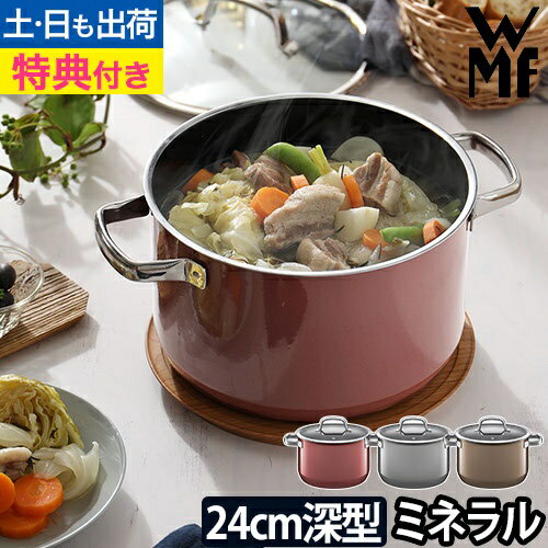 フュージョンテック ミネラル ハイキャセロール 24cm