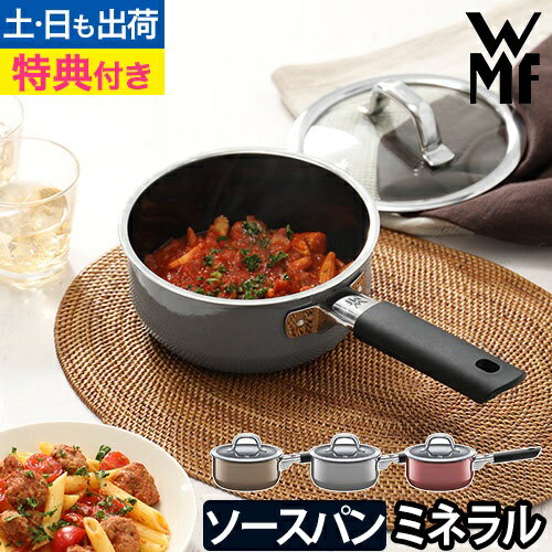 フュージョンテック ミネラル ソースパン16cm