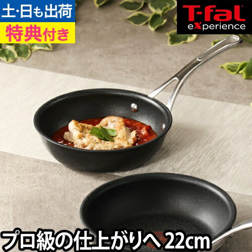 エクスペリエンス＋ フライパン 22cm　