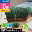 ミクニ 【豪華特典付き】 卓上加湿器 ミスティガーデン2nd エコロジー加湿器 【本体+交換フィルター】 気化式加湿器 小型加湿器 おしゃれ 赤ちゃん エコ 衛...