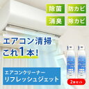 【2本セット】エアコンクリーナー リフレッシュジェット 洗浄 除菌 消臭 抗菌 防カビ 防かび 除カビ 臭い くさい 節電 エアコン 洗浄スプレー 掃除スプレー エアコン掃除 エアコン洗浄スプレー カビ かび 黒かび エアコン洗浄 電解水 大掃除 掃除
