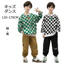 キッズダンス衣装 ヒップホップ Hiphop キッズ ダンス衣装 スポーツ服 セットアップ 男の子 子供服 春秋 冬 オレンジ グリン ファッション トップス かっこいい パンツ キッズ ダンス衣装 ジュニア ダンスウェア おしゃれ 120-160