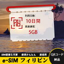 10日間 合計5GB フィリピン Philippines eSIM 使い放題 超高速 メール納品 esimカード 留学 出張 旅行神器 データ通信