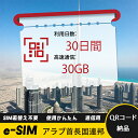 30日間 合計30GB アラブ首長国連邦 UAE ア? アレン United Arab Emirates eSIM 使い放題 超高速 メール納品 esimカード...