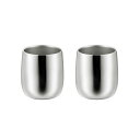 燕熟の技 ステンレス二重ロックカップ250ml 2P EJA-900 【 キッチン用品・食器 調理器具 日用雑貨 キッチン用品 食器 カトラリー グラス 】