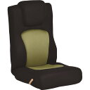 座椅子 フロアチェア 約幅51cm グリーン ウレタン スチール ゴロンリー 完成品 リビング ダイニング インテリア家具