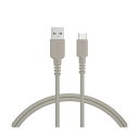 オウルテック MOTTERU A to C シリコンケーブル ラテグレージュ 1m MOT-SCBACG100-GY 1本 【×3セット】 【お徳用 まとめ買い お買い得 業務用 割引 セット販売】(2)
