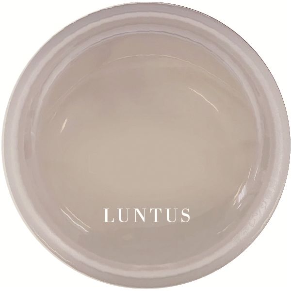 【5個セット】 アスベル ランタス STR-250 250ml グレージュ A3530