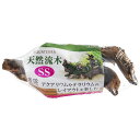 天然流木 SS 【×5セット】 (観賞魚 / 水槽用品) 【お徳用 まとめ買い お買い得 業務用 割引 セット販売】 【 ペットフード ・ ペット用品 ペット・ペットグッズ 飼育 熱帯魚 めだか 水槽 ペットフード 熱帯魚・アクアリウム 】