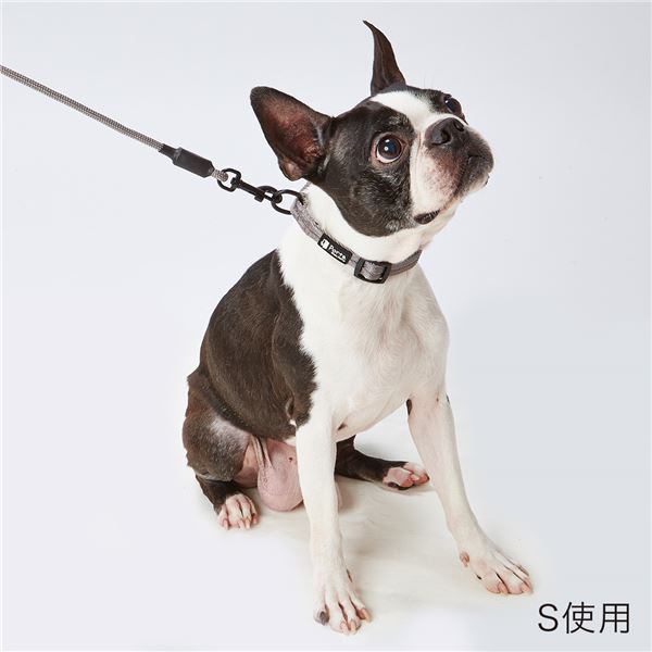 【セット販売】 Portaリード S シルバーグレー【×3セット】 (犬用品 / リード) 2