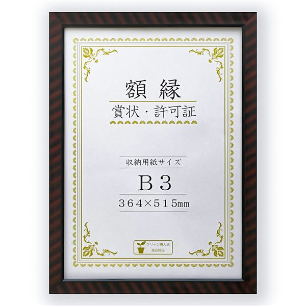 樹脂製 賞状額 金ラック R 箱入 B3 収納寸法：364×515mm 賞状 額 表彰状 卒業証書 免許書 許可証 額縁 フレーム