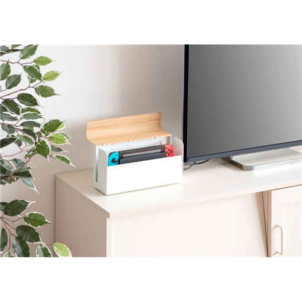 楽天開店10周年 SETAGAYA INTERIORTEERゲーム機ケース 約幅28×奥行き9×高さ14cm ナチュラル 完成品 収納用品