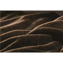 日本製 寝具 CALDO NIDO(R) ELITE(カルドニードエリート) 敷き毛布 シングル(約100×205cm) ブラウン 3