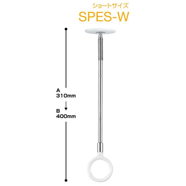 zXN[ SPES-W zCg [2{Zbg]y0004-00669z