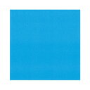 菅公工業 タックカラーシール いろがみ 空 ミ674 【×10セット】 【お徳用 まとめ買い お買い得 業務用 割引 セット販売】 日用品雑貨・文房具・手芸 文...