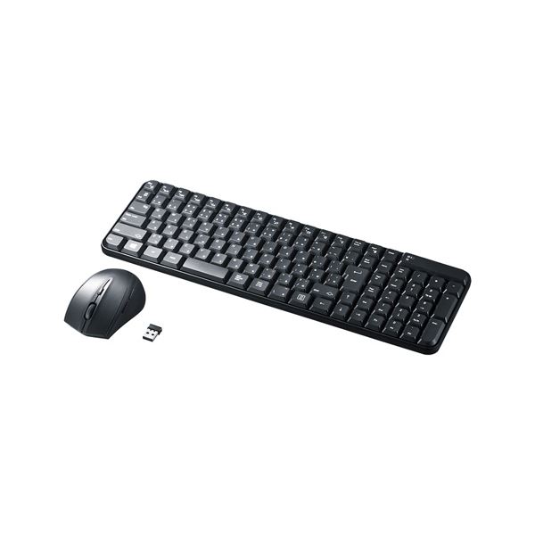 サンワサプライ マウス付きワイヤレスキーボード SKB-WL25SETBK ブラック 静音ブルーLEDマウスを付属したワイヤレスキーボードデジタル家電 家電 パソコン・周辺機器 キーボード・テンキー