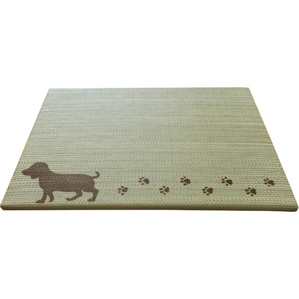国産い草使用 足快適プチたたみ ワルツ （犬 / ブラウン） ラグマット 絨毯 フロア ラグ カーペット カ..