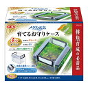 GEX メダカ元気 育てるお守りケース 【×3セット】 (ペット用品) 【お徳用 まとめ買い お買い得 業務用 割引 セット販売】 【 ペットフード ・ ペット用品 ペット・ペットグッズ 飼育 熱帯魚 めだか 水槽 ペットフード 熱帯魚・アクアリウム 】