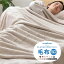 毛布 寝具 セミダブル 約160×200cm ベージュ 洗える 静電気抑制 mofua プレミアムマイクロファイバー ベッドルーム