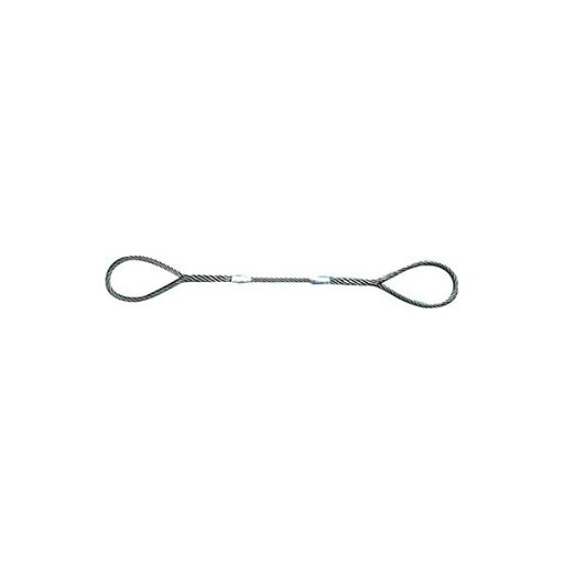 TRUSCO Wスリング Aタイプ 16mm×2.0m GR-16S2 1本 ( 掃除用品 文房具・事務用品 生活雑貨 オフィス用品 日用品雑貨 日用消耗品 文房具 お掃除 ) TRUSCO Wスリング Aタイプ 16mm×2.0m GR-16S2 1本 ( 掃除用品 文房具・事務用品 生活雑貨 オフィス用品 日用品雑貨 日用消耗品 文房具 お掃除 )