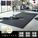 い草 マットレス 3つ折り セミシングル 約80×210cm グリーン 日本製 国産 抗菌 防臭 防音 軽量 畳 フロアマット ラグマット 2