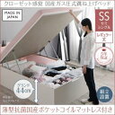 【組立設置サービス付】 跳ね上げ式ベッド 収納ベッド すのこ 薄型抗菌国産ポケットコイルマットレス付き ポケットコイル 日本製ポケットコイル 【縦開き】 【セミシングルベッド 】 マットレスセット セミシングルサイズ レギュラー丈【深さ: グランド】(3)