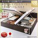 【日本製 収納ベッド 】 国産 跳ね上げ 収納ベッド Renati-DB レナーチ ダークブラウン 薄型プレミアムポケットコイルマットレス付き ポケットコイル 【横開き】 セミシングル 【深さ:ラージ】 セミシングルベッド セミシングル 小型 木製 木(3)