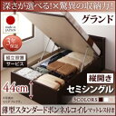【組立設置サービス付 跳ね上げ式ベッド 収納ベッド 】 収納家具 収納ベッド 大容量 薄型スタンダードボンネルコイル付き ボンネルコイル 【縦開き】 【セミシングルベッド 】 マットレスセット セミシングルサイズ 【深さ: グランド】(3)