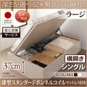 【組立設置サービス付 跳ね上げ式ベッド 収納ベッド 】 収納家具 収納ベッド 大容量 薄型スタンダードボンネルコイル付き ボンネルコイル 【横開き】 シングルベッド 【深さ:ラージ】 【横開き】 シングルベッド 収納 跳ね上げ式ベッド 収納ベッド 木製ベッド(3)