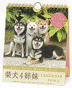 ゆうメール送料無料!23.柴犬4姉妹(週めくり)(10001...